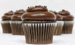 chocolate fudge cupcakes